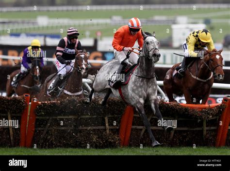 sky bet supreme novices hurdle|13:30 Cheltenham .